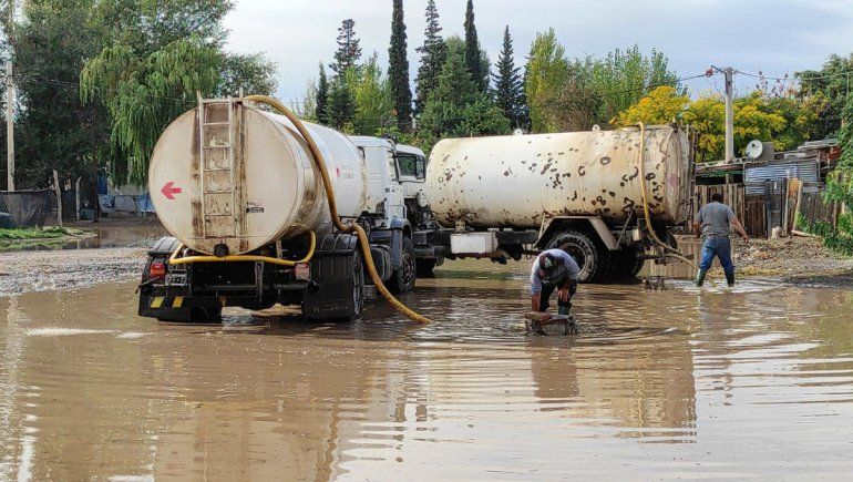 Hubo 26 asistencias, una docena de árboles caídos y calles inundadas
