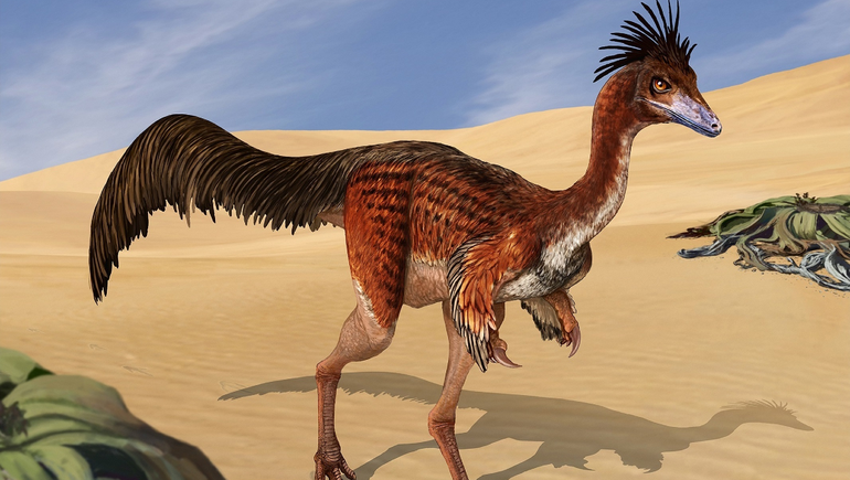 El Bonapartenykus ultimus es una de las especies de Patagonykinae hallados en Argentina.