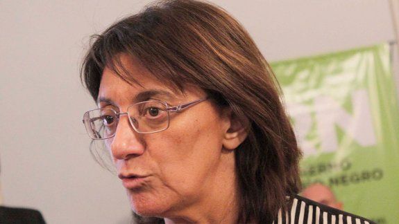 Ley Ómnibus: Mónica Silva dijo que votará a favor de la población