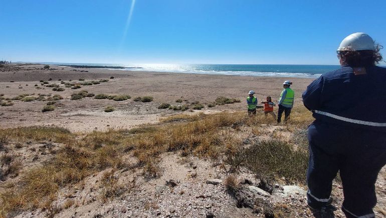 La secretar&iacute;a de Ambiente realiz&oacute; una inspecci&oacute;n en la obra del VMOS.