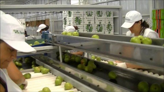 Expectativa por el inicio de la paritaria de los empacadores
