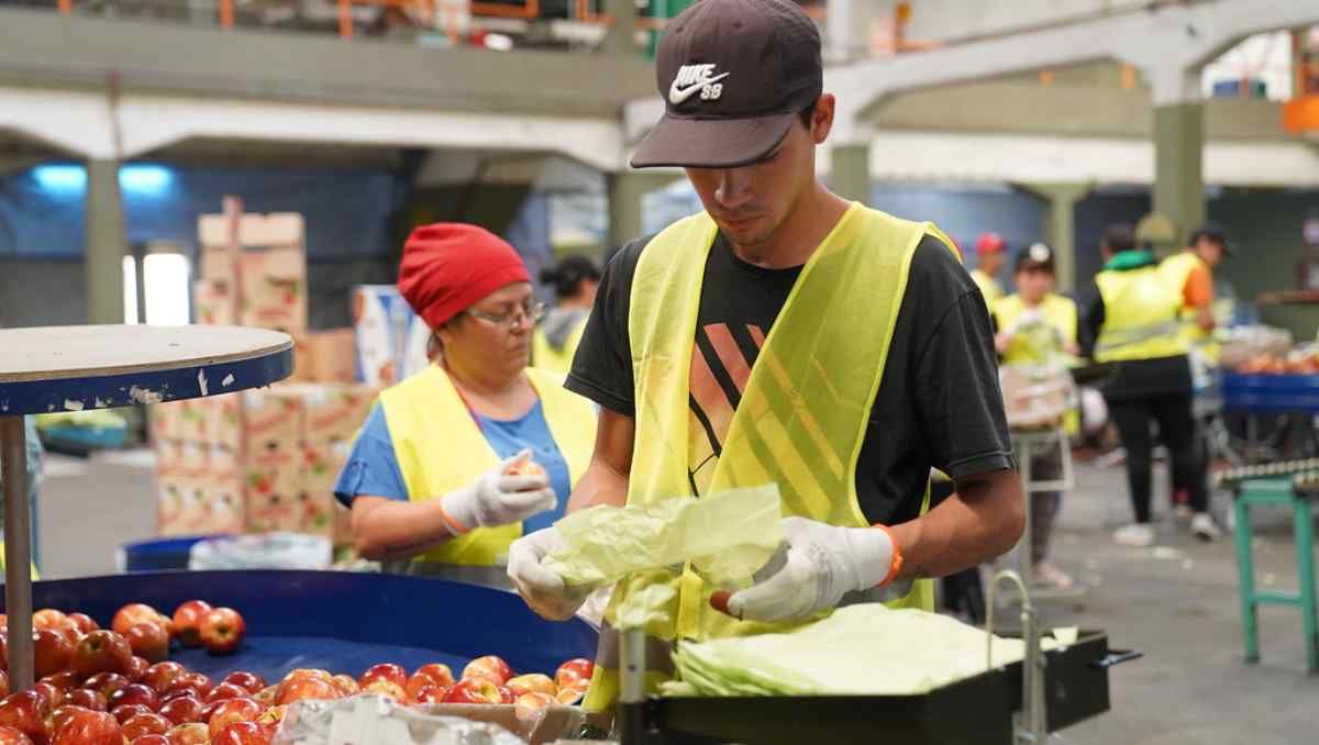 La oficina de empleo capacita en trabajos que demandan las empresas locales. Foto: gentileza.