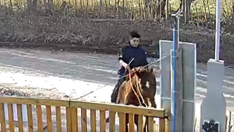 Como en el Far West: roban a caballo en el barrio Labraña