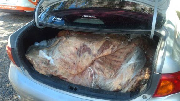 Secuestran valiosos costillares que traían a Cipolletti