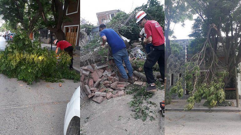 El temporal de viento causó serios problemas en toda la ciudad: hubo 16 asistencias