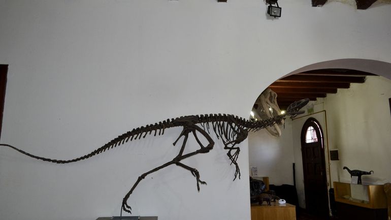 La vistosa réplica del esqueleto de un dinosaurio lleva a imaginar un pretérito movimiento y una fugaz y vívida actitud.