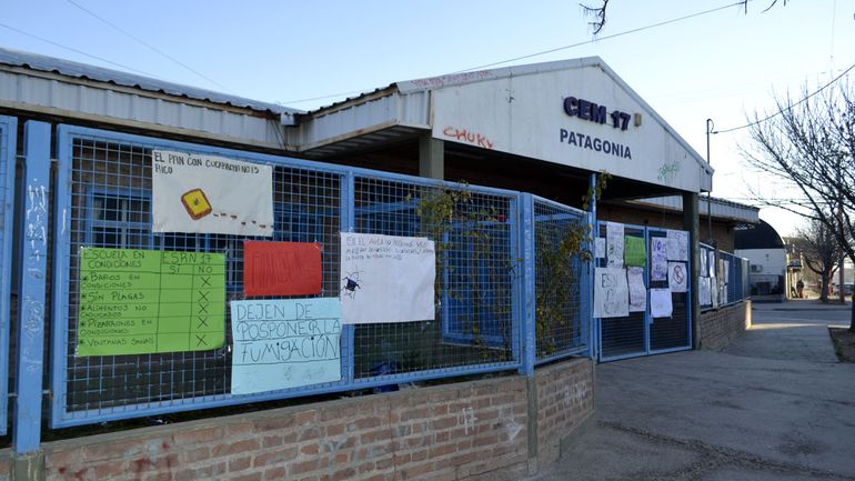 La ESRN 17 de Cipolletti viene alertando una plaga de cucarachas desde abril.