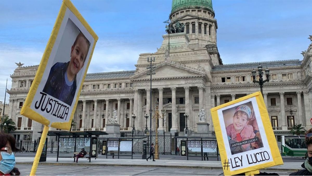 Presentaron un proyecto para que Río Negro adhiera a la Ley Lucio
