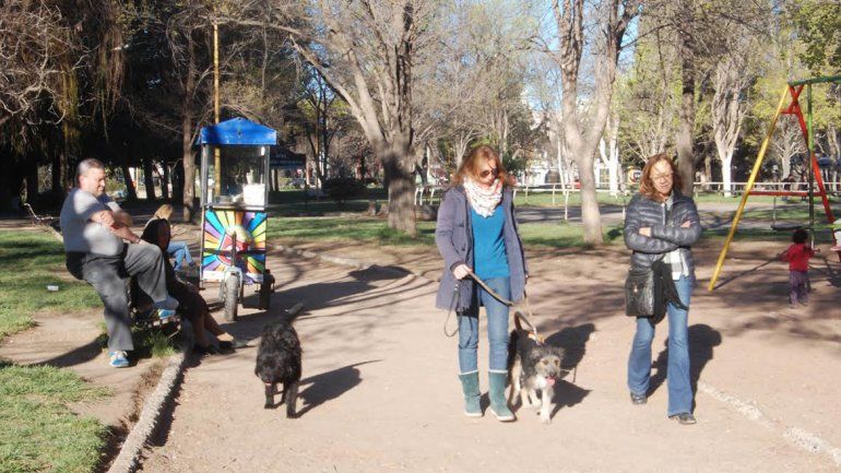 En el Municipio buscarán que los canes tengan sectores delimitados para poder acceder en los espacios verdes. Sus propietarios tendrán que llevar palitas y bolsitas para sacar las deposiciones.