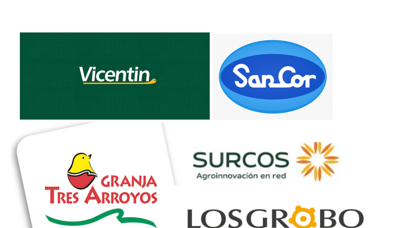 La caída de firmas históricas revela un entramado de desequilibrios financieros, malas decisiones y un nuevo escenario económico sin red de contención.