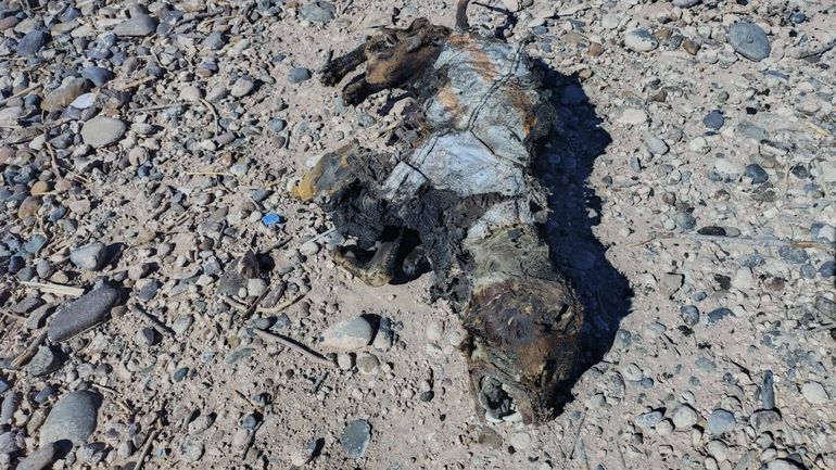 Imágenes sensibles. 