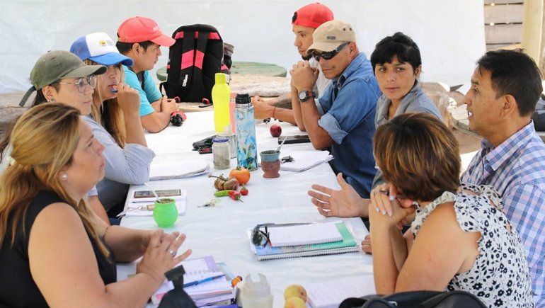 Buscan poner en marcha proceso de tratamiento de residuos verdes