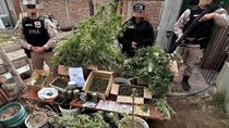 Efectivos de Prefectura Naval realizó el allanamiento en San Antonio y secuestró gran cantidad de plantas de marihuana. 