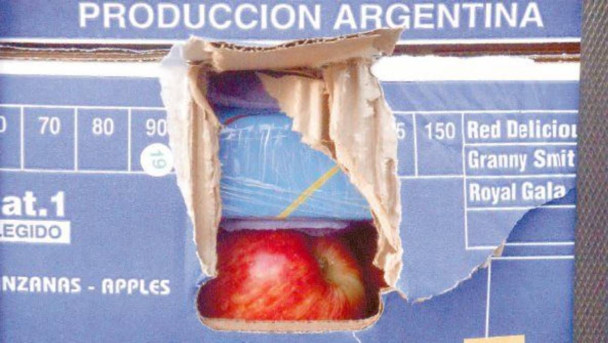 Manzanas Blancas: dieron por cumplida la pena a un condenado