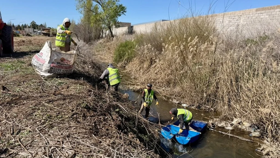 La Municipalidad de Cipolletti comenzó a desplegar un plan de limpieza sobre el ex Canal Roca para dejar en condiciones los desagües pluviales.&nbsp;