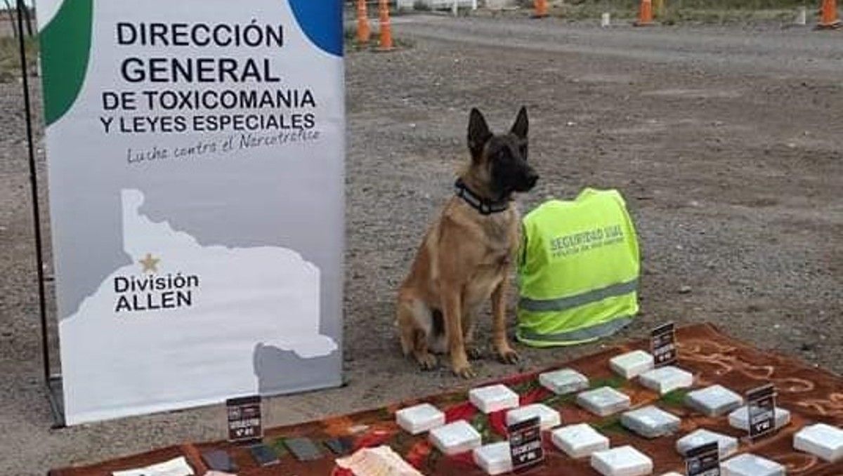 Lo condenaron por traficar casi 100 kilos de marihuana