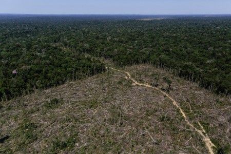 La propuesta consiste en la presentación de un corto con ejes temáticos de protección del medioambiente, como la desertificación. 