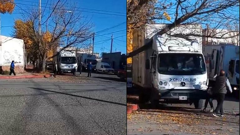 La rama que cayó el árbol quedó entre la caja y el cortavientos del camión. Con ayuda de vecinos la pudieron retirar. Advierten que hay árboles que deben ser podados. 