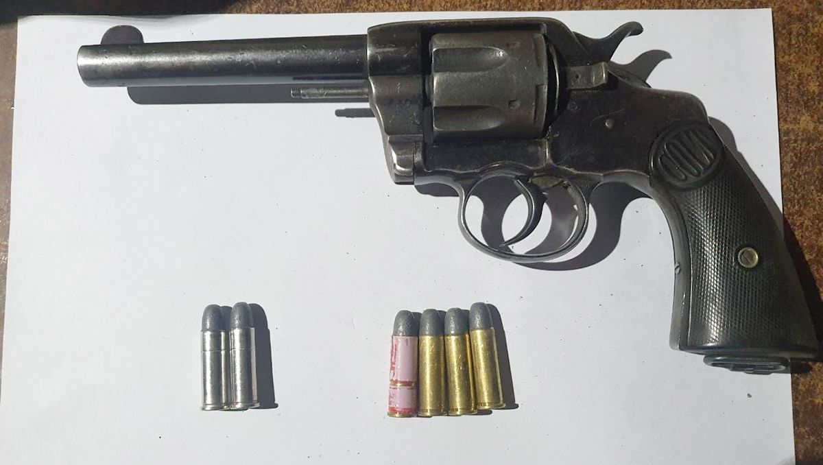 Secuestraron el arma de una pistolera de toma Los Sauces