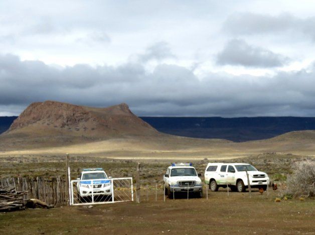 Allanamiento por muerte por envenenamiento de Cóndor andino