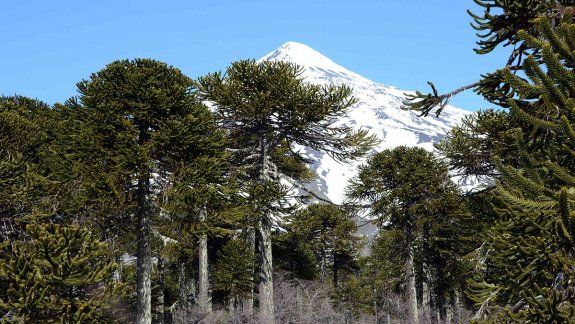 El lunes reabren los Parques Nacionales Lanín y Nahuel Huapi