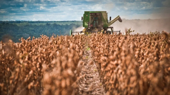 La suba del petróleo y los granos abre oportunidades, pero complica las decisiones productivas. | LMCipolletti.com La suba del petróleo y los granos abre oportunidades, pero complica las decisiones productivas.