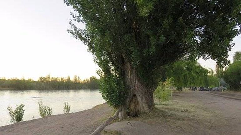 La Isla de Choele Choel donde ocurrió el increíble caso. La Isla de Choele Choel donde ocurrió el increíble caso.