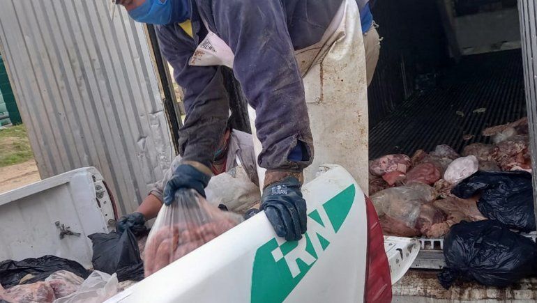 Decomisaron 1,5 toneladas de carne podrida que estaba a la venta