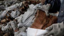 plan calor: compraran 30% mas de lena que en 2019