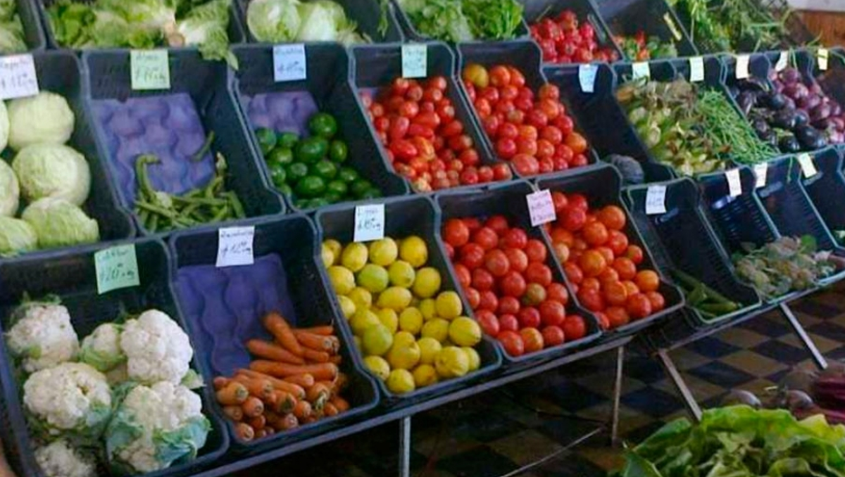 Grave: se desplomó el consumo de alimentos en 2023 por la suba de precios