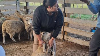 Educación y producción: el entusiasmo de los chicos que sueñan con ser veterinarios. | LMCipolletti.com Educación y producción: el entusiasmo de los chicos que sueñan con ser veterinarios.