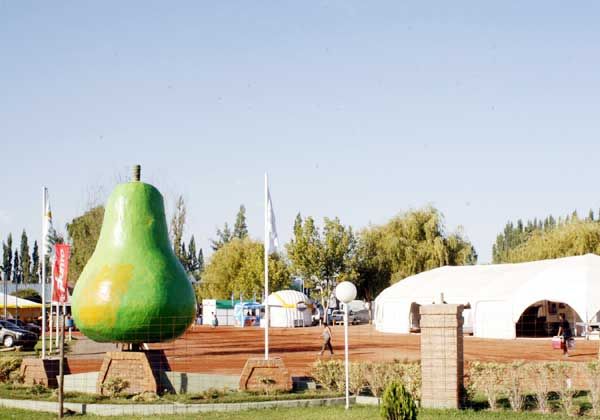 Se palpita la XIII edición Fiesta Nacional de la Pera