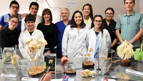 Novedosa muestra en Medicina que mezcla la anatomía y el arte