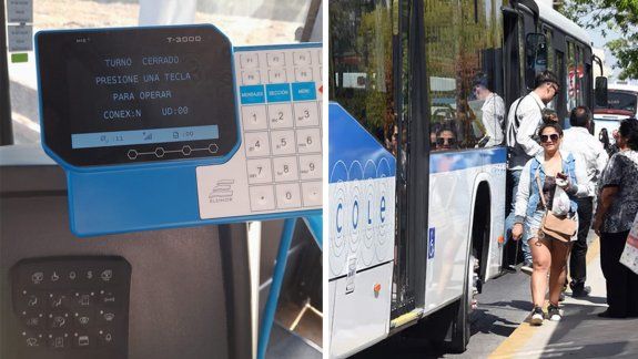 Usar los nuevos coles de Neuquén aún es gratis: ¿por qué y hasta cuándo?