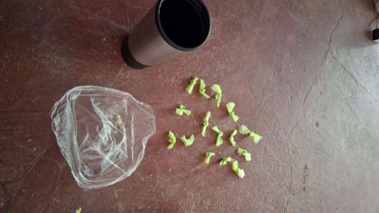 Un llamado anónimo permitió desbaratar un kiosco narco que contaba con cámaras de seguridad