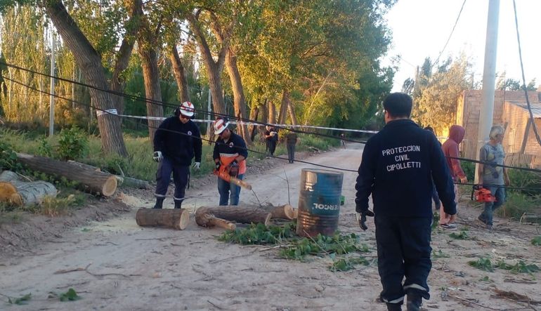 El viento está causando múltiples complicaciones en Cipolletti