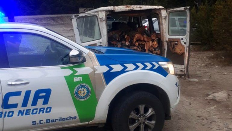 Sorprenden a un hombre trasladando ejemplares nativos talados sin autorización