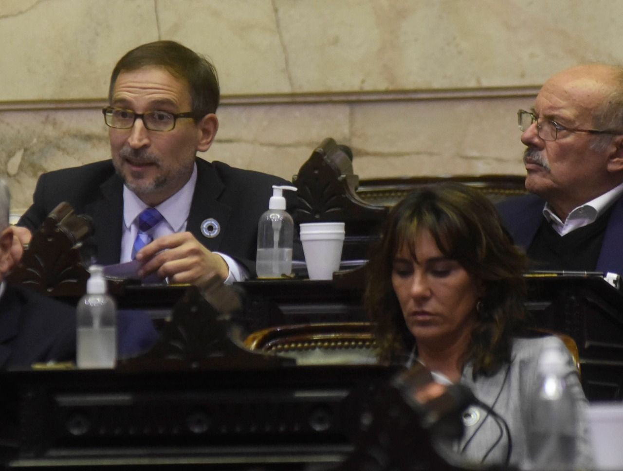 Diputados de Río Negro presentaron proyecto para derogar las PASO