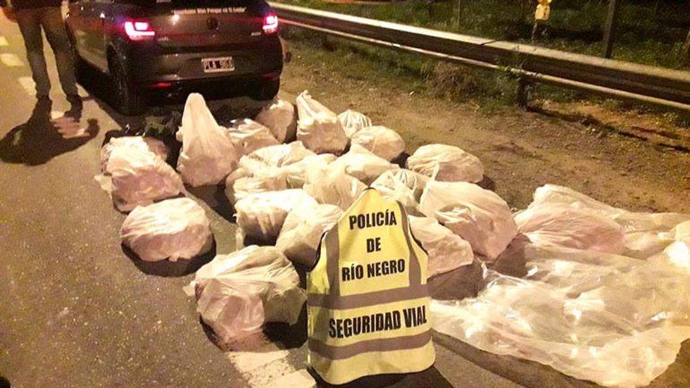 Dos cipoleños querían contrabandear langostinos y los atraparon