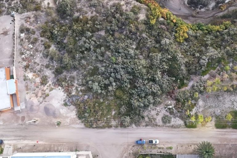 Se podrá participar de la subasta de forma presencial o virtual. 