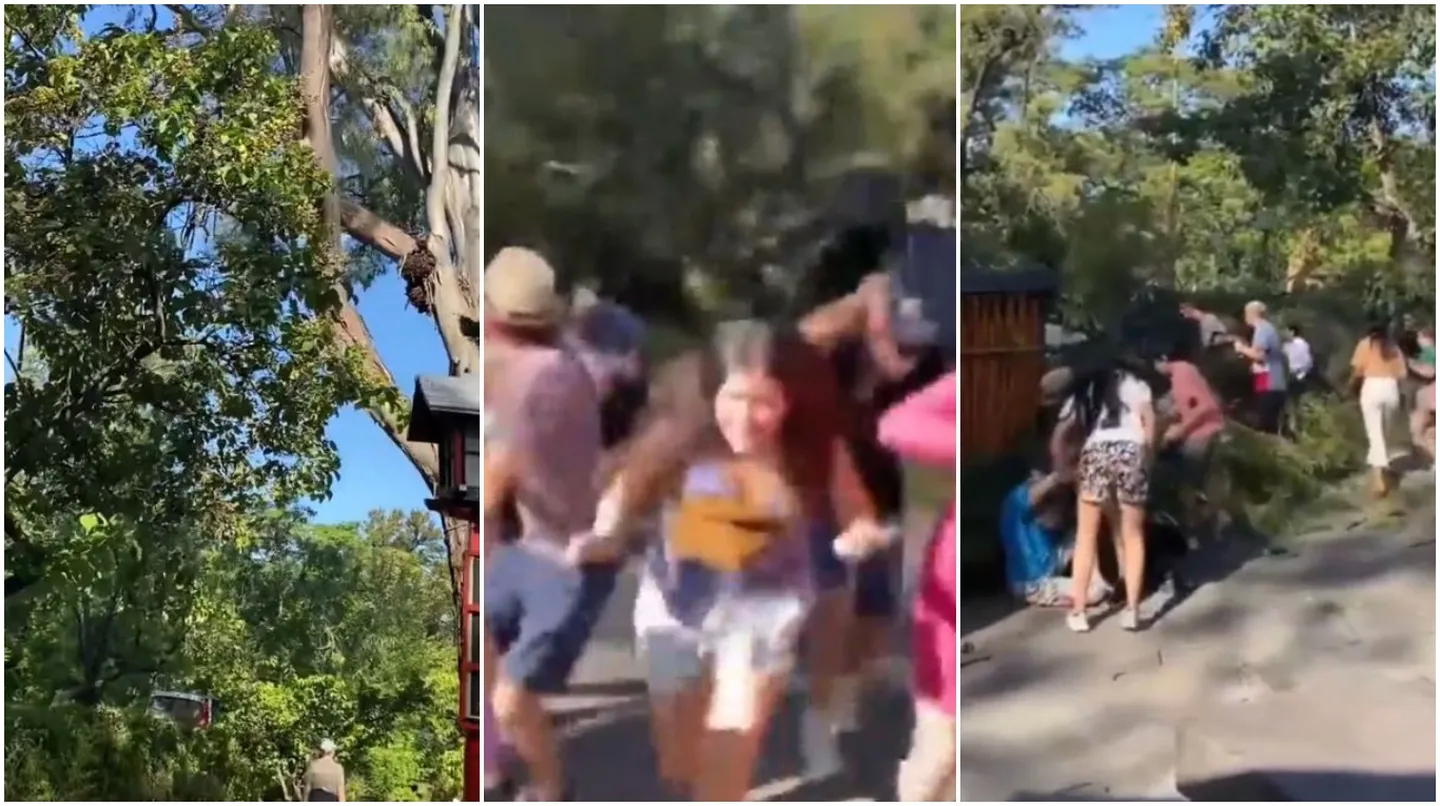 Pánico en el Jardín Japonés: cayó la rama de un árbol y aplastó a dos personas
