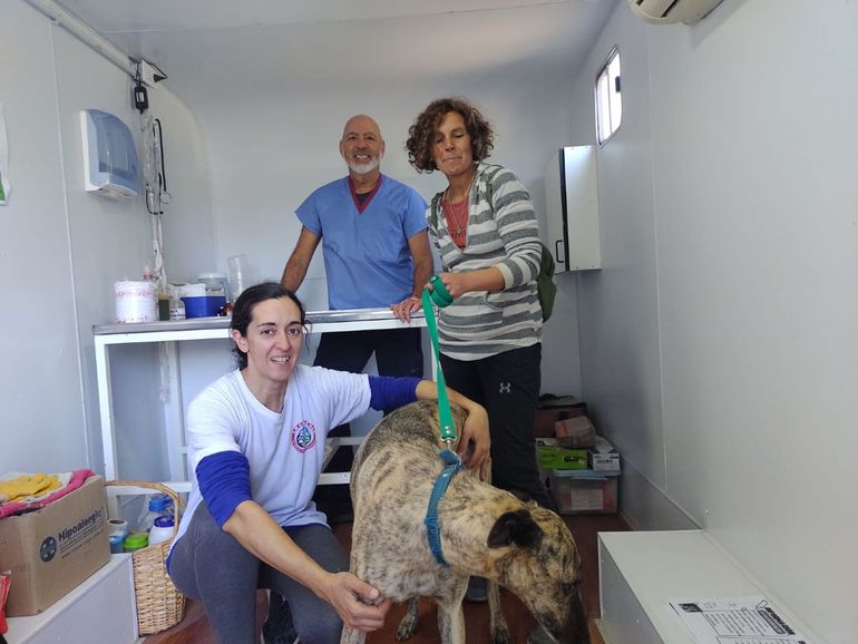 Las Perlas: haciendo conciencia por los animales