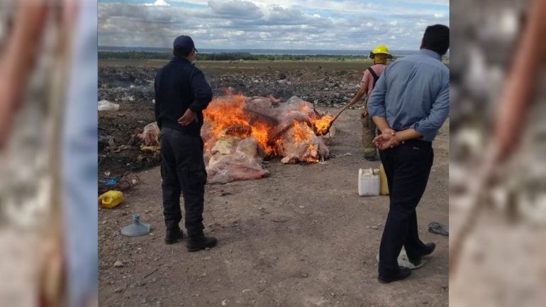 Prendieron fuego 13 toneladas de carne ilegal decomisada