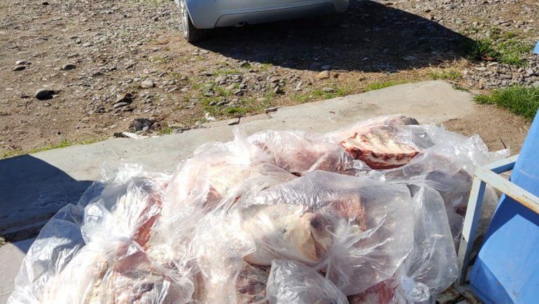 Llevaba 300 kilos de carne con hueso tapados con una media sombra