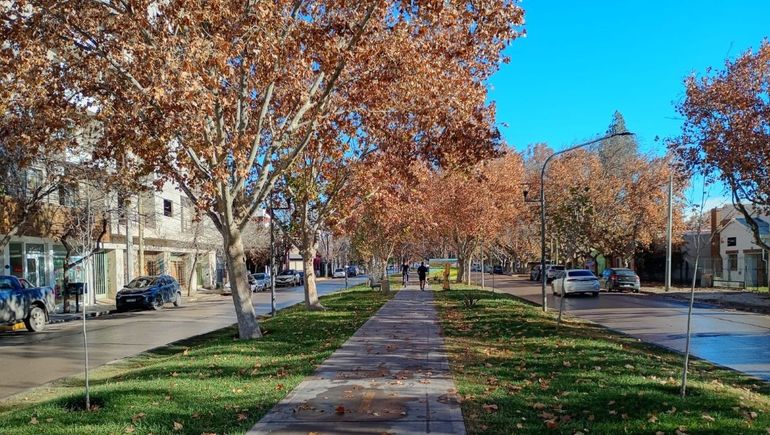 El otoño pinta su típica postal ocre en el Alto Valle. Este domingo arrancó con heladas y cielo despejado. Con el correr de las horas el sol dejó el día notablemente luminoso.&nbsp;