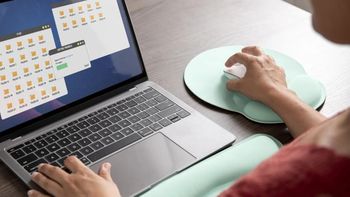 El RPI y el IPPV comenzaron a trabajar en la digitalización de los trámites de la Ley Pierri. Foto: Gentileza.