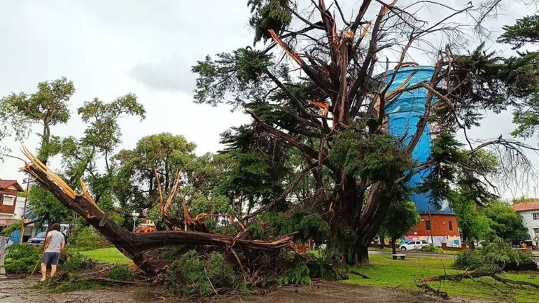El fuerte temporal que azotó a Miramar causó dos muertes. Foto: Infobae