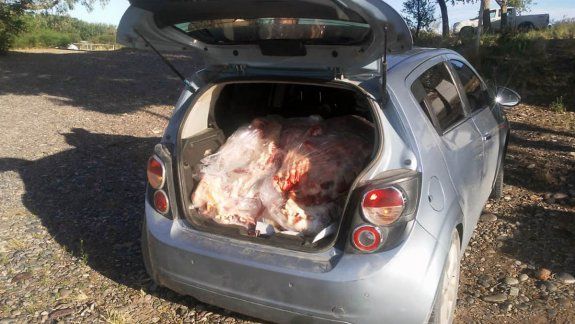 Decomisaron 15 costillares en medio de un control sobre la Ruta 151