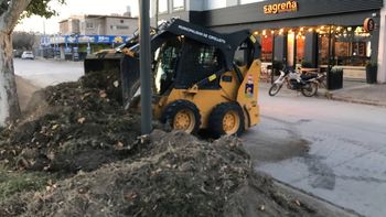 El Municipio avanza con la renovación del parquizado de las plazoletas de Alem.