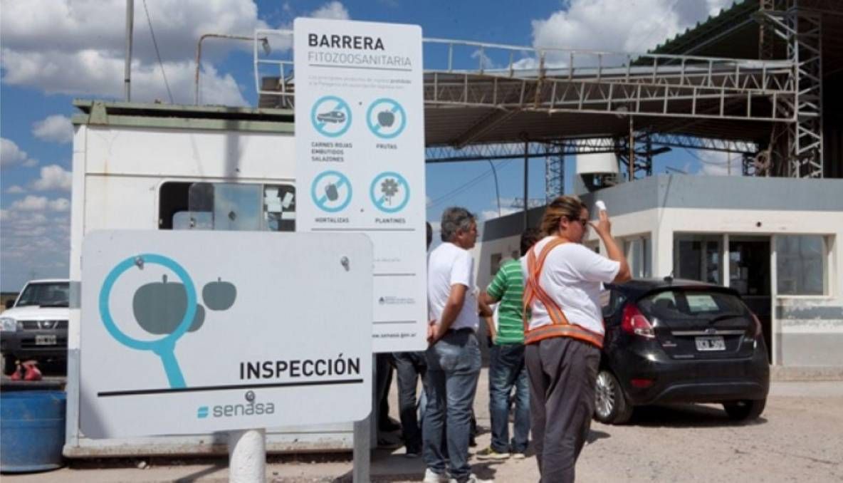 Un concejal fue descubierto ingresando carne de caballo desde La Pampa a Río Negro.
